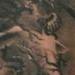 tattoo galleries/ - Broiling Pot &The Goat - Natalia